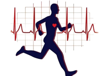 اثرات ورزش بر سیستم قلبی عروقی